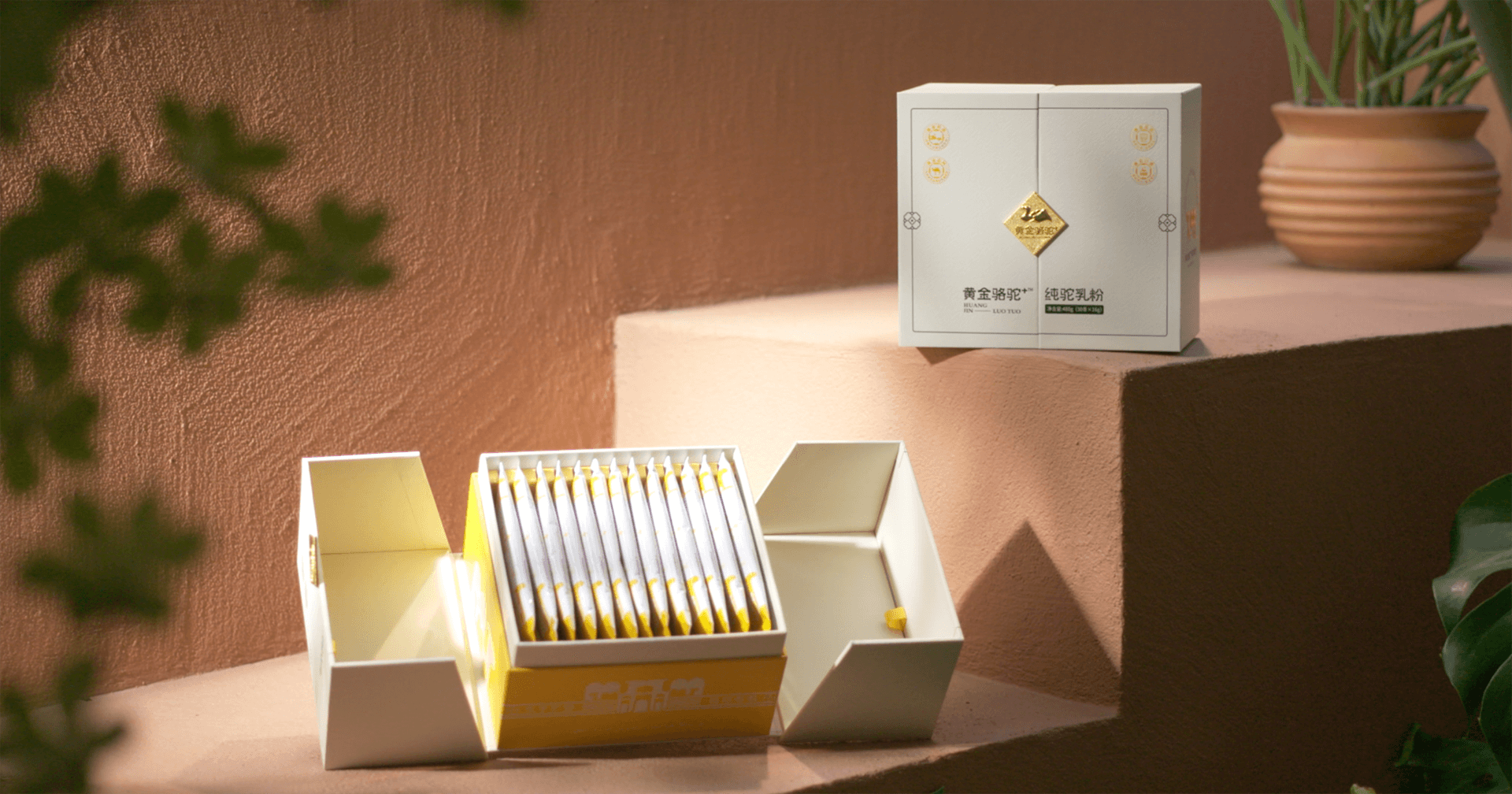 定位小众高端乳粉，彩霸王官网推出驼奶品牌“黄金骆驼+”，角逐乳品新市场！