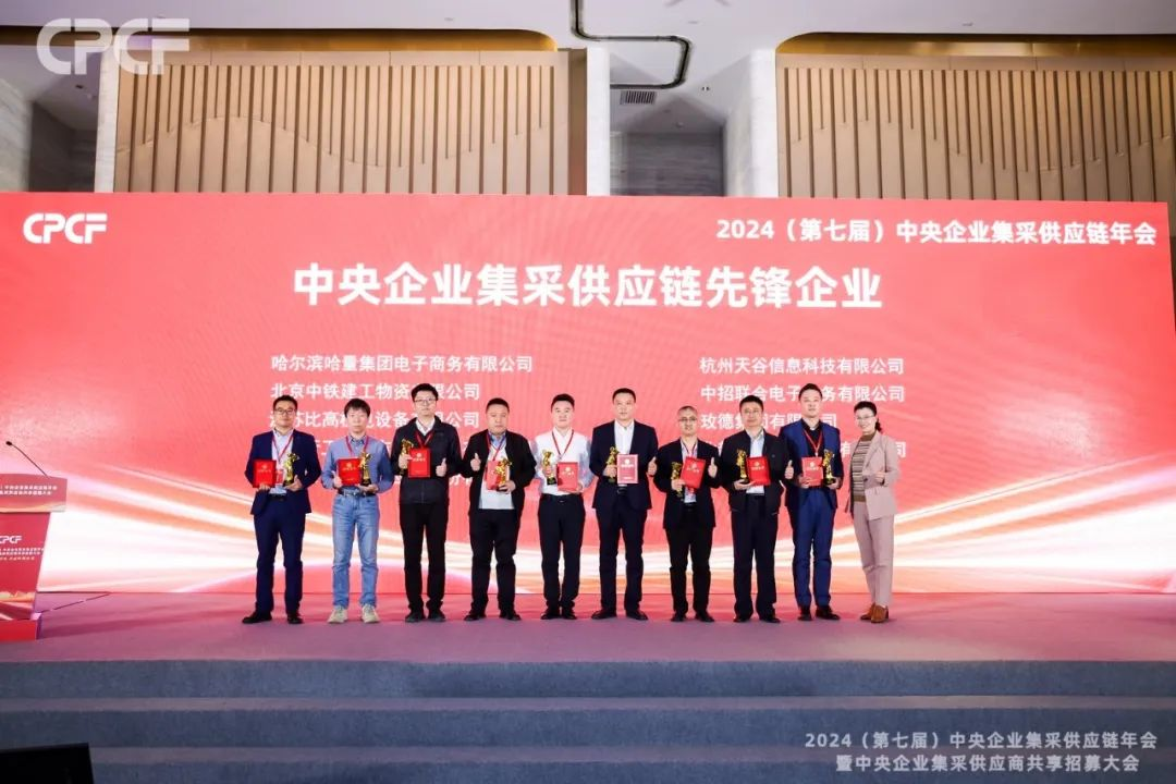 喜报！彩霸王官网荣获2024年度（CPCF）中央企业集采供应链年会先锋企业荣誉称号